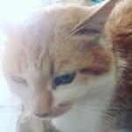 Nathaniel Herrera - @nathaniel.herrera.184 - Instagram