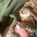 Nathaniel Hoffman - @nathanielhoffman369 - Instagram