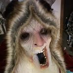 Nate Holst - Facebook