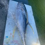 Nate Hook - Facebook