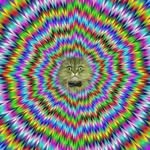 Nathaniel Hooper - @reality_naut - Instagram