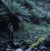 Nathaniel Holden - Facebook