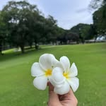 Nathaniel Hope - @n.h.a.nath - Instagram