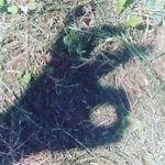 Nathaniel Horton - @back_un_your_dms - Instagram