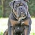 Nathaniel House - Facebook