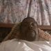 Nathaniel House - Facebook
