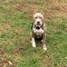 Nathaniel Howard - Facebook