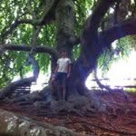 Nathaniel Hoyt - @dedolent - Instagram