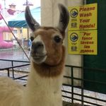 Nathaniel Humphrey - @nathaniel_j_humphrey - Instagram