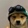 Nathaniel Humphries - @nathanielhumphries1388 - TikTok