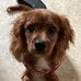 Nathaniel Hurley - Facebook
