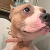 Nathaniel and damon get hurt - @nathaniel.and.dam - TikTok