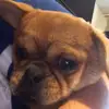 nathaniel Hurt - @nathaniel.hurt - TikTok