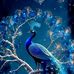 Nathaniel Hutton - Facebook