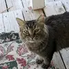 Nathaniel Hyde - @nathaniel.hyde4 - TikTok