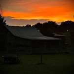 Nathaniel Hyder - @nathaniel_hyder - Instagram