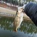 Nathaniel Ingram - Facebook