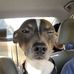 Nate Ivey - Facebook