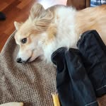 Nathaniel Jansen - @esemcgee - Instagram