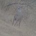 Nathaniel Jaramillo - Facebook
