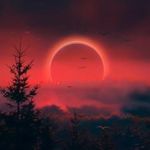Nathaniel Jeffers - @jeffers.n - Instagram