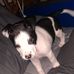 Nate Jernigan - Facebook