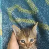 Nathaniel Jester Pla - @nathaniel.jester - TikTok