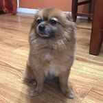 Nathaniel Jimenez - @nathaniel.627 - Instagram