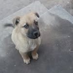 Nathaniel Juarez - @juarez.nathaniel - Instagram