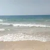 נתנאל כץ425 - @nathanielkatz1 - TikTok