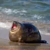 Nathaniel_Katzs - @nathanielkatzs - TikTok