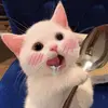 Nathaniel_Katzs - @nathaniel_katzs0 - TikTok