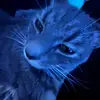 Nathaniel Klein - @nathanielklein - TikTok