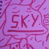 SKY 💫 - @nathaniellawson - TikTok