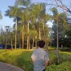 nathaniellay - @nathaniellay - TikTok