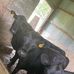Nate Layton - Facebook