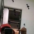 Nathaniel Leonardo - Facebook