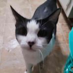 Nathaniel Lester - Facebook
