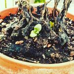 Nathaniel Lord - @the_lord_nathaniel - Instagram