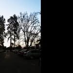 @nathaniellord1 - Instagram
