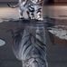 Nathaniel Lowery - Facebook
