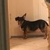 Nathaniel Lowery - Facebook