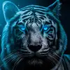 Nathaniel Lugo382 - @nathaniellugo0 - TikTok