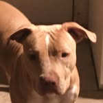 Nathaniel Maestas - @nathaniel.maestas - Instagram