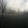 Nathaniel Mathews - @nathaniel.mathews - TikTok