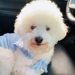 Nathaniel MAX Antonie - @max.antonie_ - Instagram