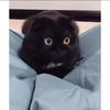 Nathaniel_mcfadden - @nathaniel__mcfadden09 - TikTok