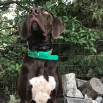 Nathaniel McGee - @nmcgee13 - Instagram