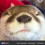 Nathaniel McNabb - Facebook