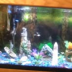Nathaniel Wayne Mcnabb - Facebook